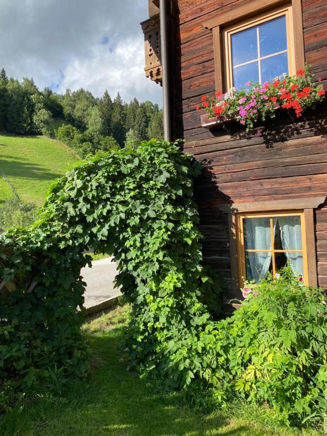 Moabauer Villa Wagrain Eksteriør bilde